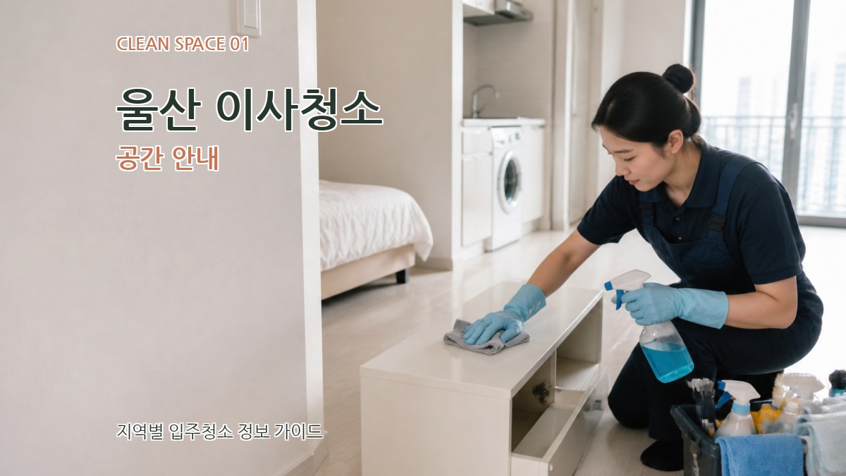 울산 이사청소