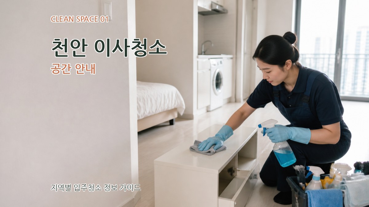 천안 이사청소