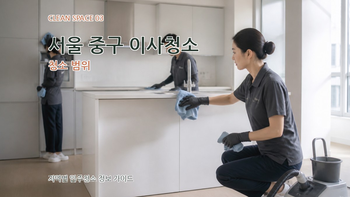 서울 중구 이사청소 청소 범위