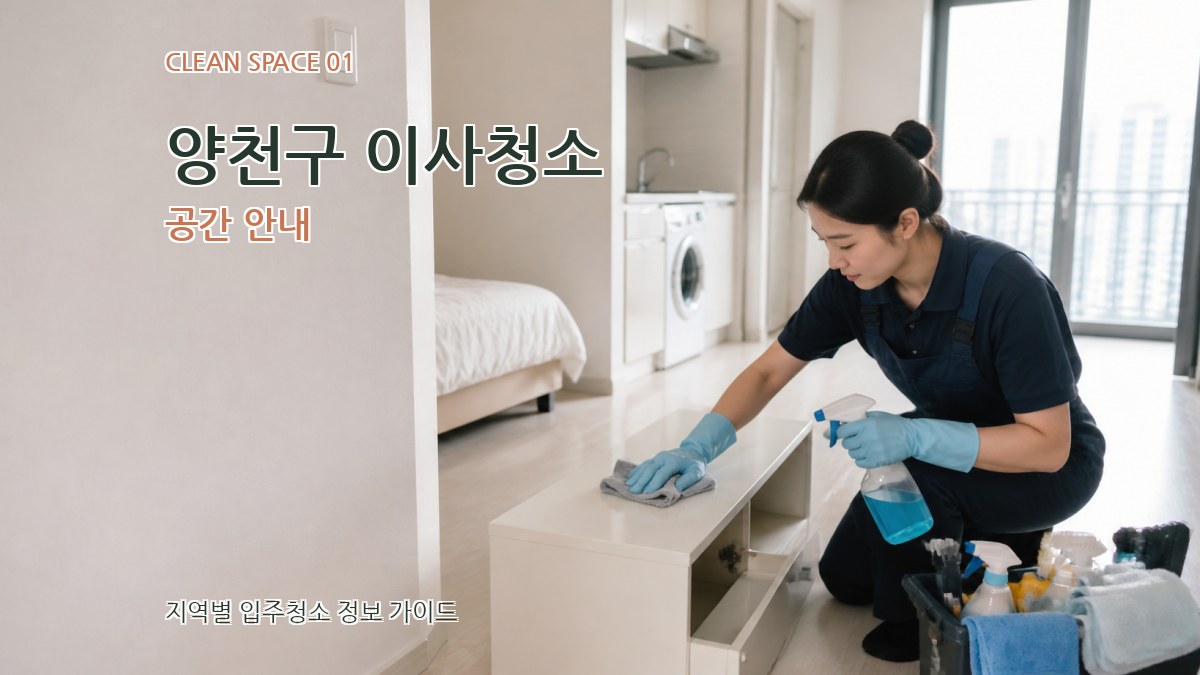 양천구 이사청소