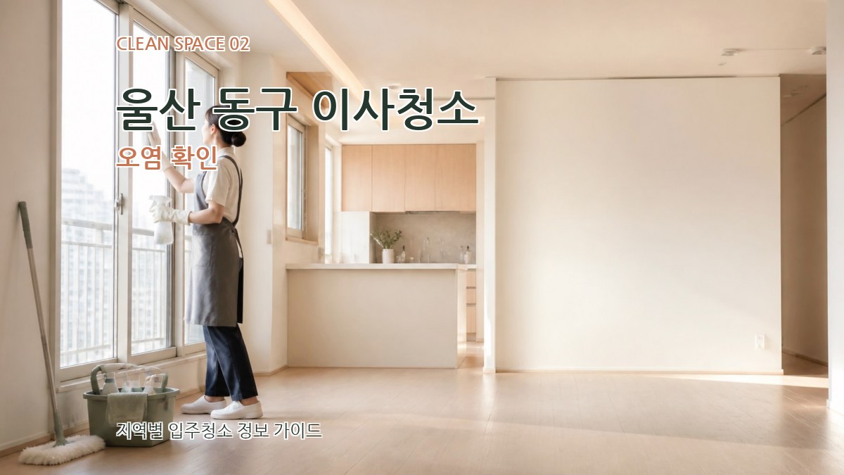 울산 동구 이사청소 오염 확인