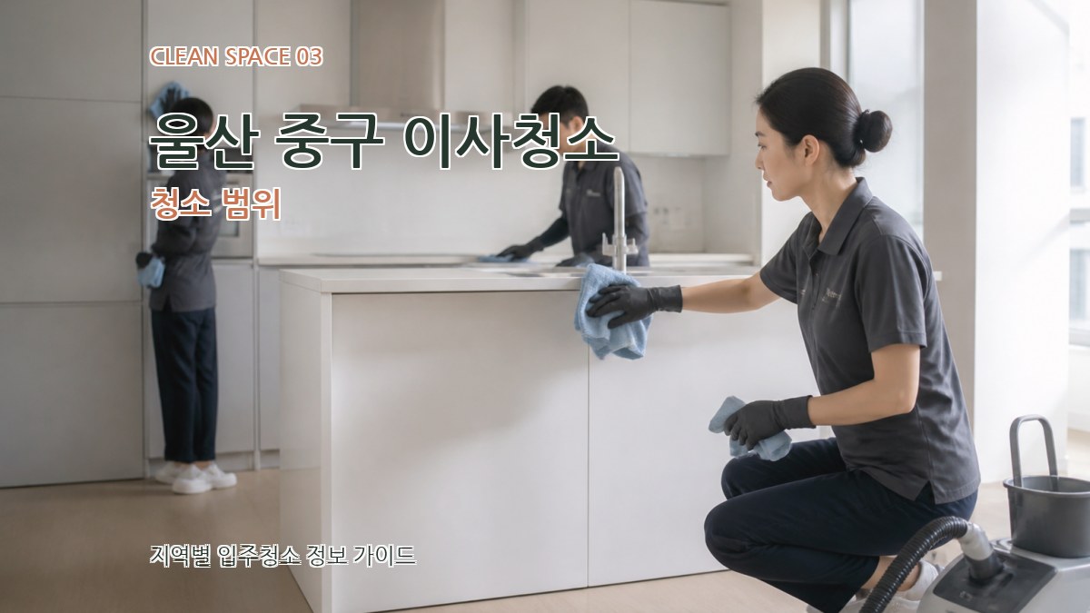 울산 중구 이사청소 청소 범위